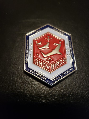 Rcaf snowbirds challenge - rcaf,